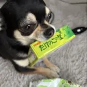 m.mの画像