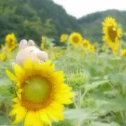 ゆいおかの画像