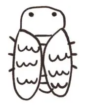みんみんぜみの画像