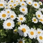 yunkk...の画像