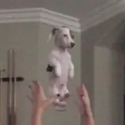 ギュの画像
