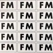 Fm29の画像