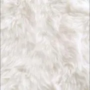 ❤︎