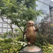 micciの画像