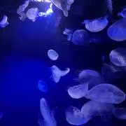 なっさん