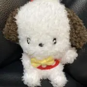 こーちゃんママ　断捨離中！！の画像