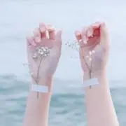 pippiの画像