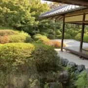 ショコラの画像