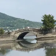 コスモスの画像