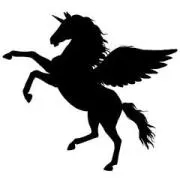 Pegasoの画像