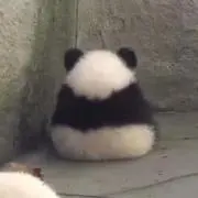 Na