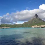 ママンバ⑅︎◡̈︎*の画像