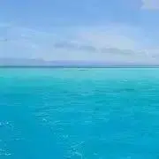 ぴえろ。の画像
