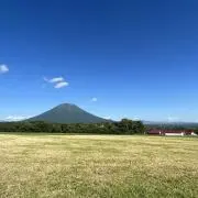 ぽにょの画像