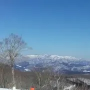 Skyの画像