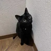 ＊みょん＊の画像