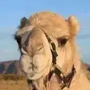 Mina★即購入OK！の画像