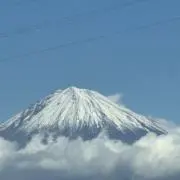 カンパチ