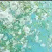 yuiko