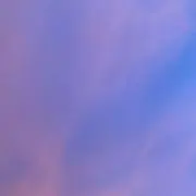 ぴーちの画像