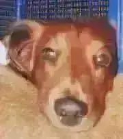 marchの画像