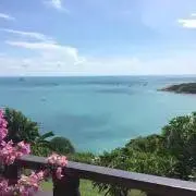 れんぴの画像