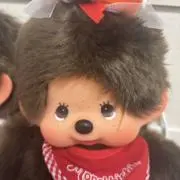 Kokoの画像