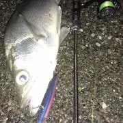 achsugiの画像