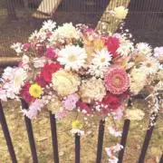 Sohisohiの画像