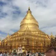 TKMの画像