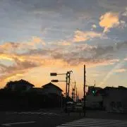 Mariの画像