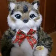 オガピーの画像