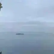 もすの画像