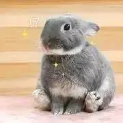 milkの画像