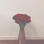 ののの画像