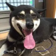 みちよ
