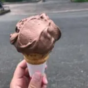 ミヨの画像
