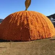 おずまま