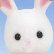 Wuiの画像