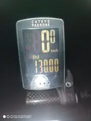 スクータースキー