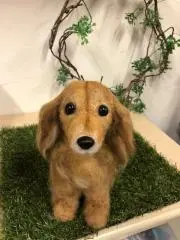 しょこ