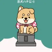 真人〽️