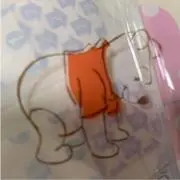 moちゃんの画像