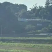 琥珀 購入時プロフ必読の画像