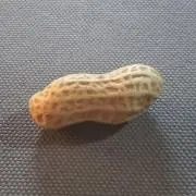 Ryoの画像