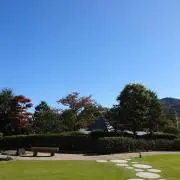ねーねの画像