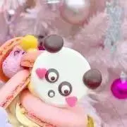 まの画像