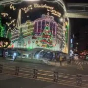 わびの画像