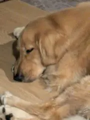 あの画像