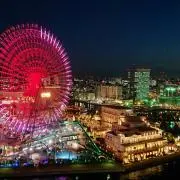 とめの画像